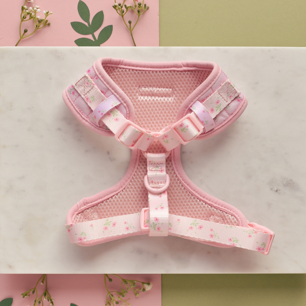 Petnesta™ Floral Dog Harness