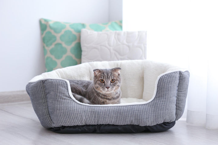 Home & Comfort
