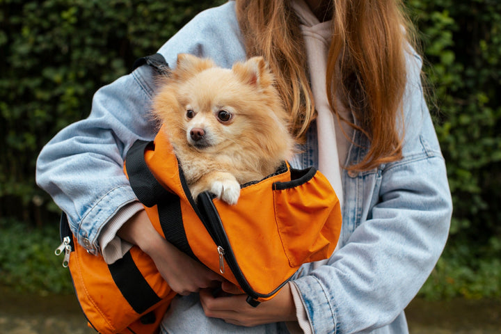 Travel & On-the-Go