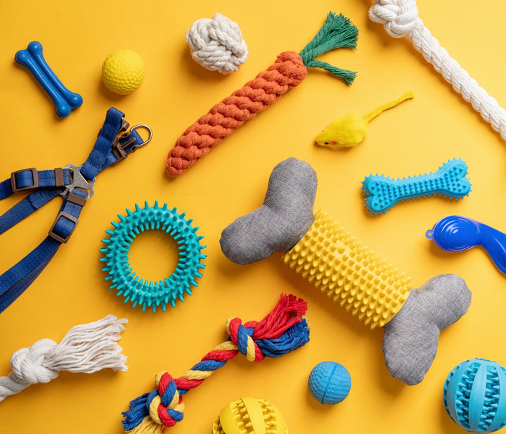 Toys & Enrichment