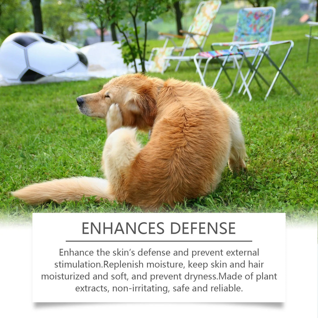 Plant-based ingredients in hypoallergenic pet shampoo for allergies
